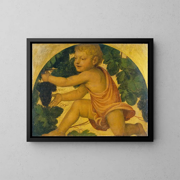 Putto che raccoglie uva - Bernardino Luini — quadro incorniciato alla parete