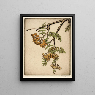 Bertha Jaques - Mountain Ash.webp