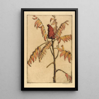Bertha Jaques - Sumac.webp