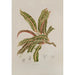 Java Island Flowers, Fruits, and Foliage Selected Painting Pl01 - Berthe Hoola van Nooten — artwork view