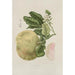 Flowers, selected fruits and foliage from Java Island Pl03 - Berthe Hoola van Nooten — artwork view