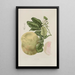 Flowers, selected fruits and foliage from Java Island Pl03 - Berthe Hoola van Nooten — framed artwork on a wall