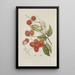 Reproduction of the painting Java Island Flowers, Fruits, and Foliage Selected Painting Pl07 - Berthe Hoola van Nooten