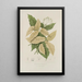 Reproduction of the painting Java Island Selected Flowers, Fruits, and Foliage Painting Pl21 - Berthe Hoola van Nooten