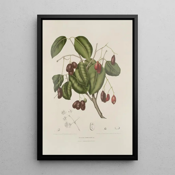 Riproduzione del dipinto Fiori, frutta e fogliame scelti dall'isola di Giava Pl32 - Berthe Hoola van Nooten