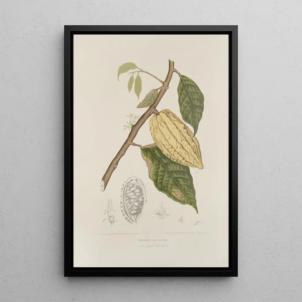 Riproduzione del dipinto Fiori, frutta e fogliame scelti dall'isola di Giava Pl35 - Berthe Hoola van Nooten