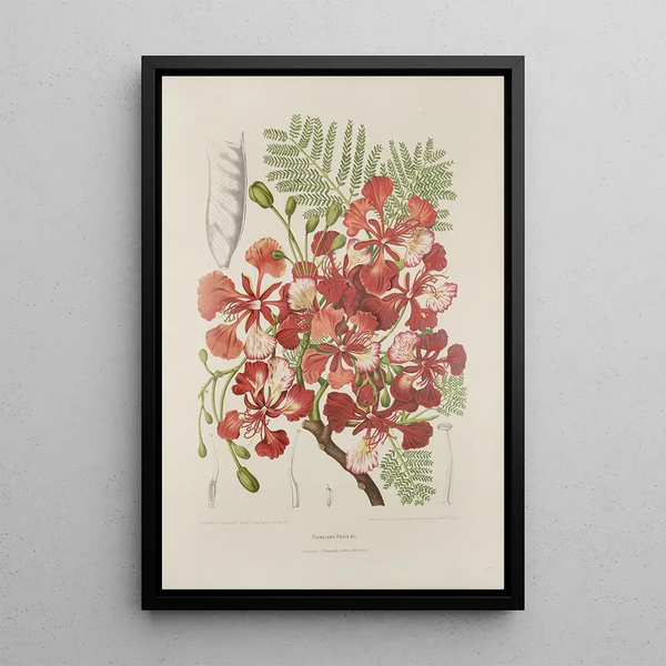 Riproduzione del dipinto Fiori, frutta e fogliame scelti dall'isola di Giava Pl37 - Berthe Hoola van Nooten