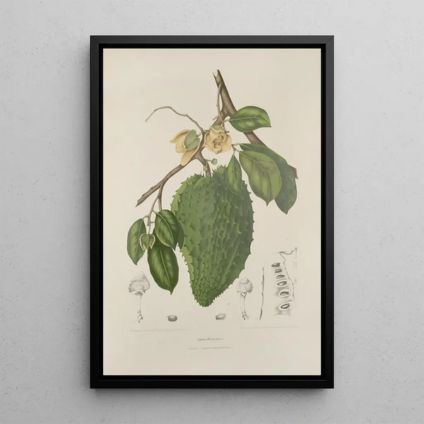 Riproduzione del dipinto Fiori, frutta e fogliame scelti dall'isola di Giava Pl39 - Berthe Hoola van Nooten