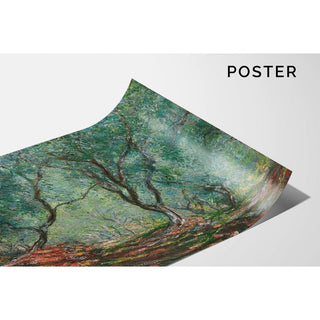 Bois d'Oliviers au Jardin Moreno - Claude Monet | Reproduction Tableau Décoration murale affiche copie