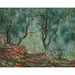 Riproduzione del dipinto Bois d'Oliviers au Jardin Moreno - Claude Monet