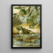 Rana esculenta Rana esculenta ridibunda Hyla arborea - Bruno Drigen — framed artwork on a wall