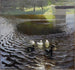 Enten - Johann Walter-Kurau — Ansicht des Kunstwerks