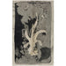 Riproduzione del dipinto Fiori orchidea 1874 1945 - Carel Adolph Lion Cachet