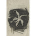 Reproduktion des Gemäldes Orchidee - Carel Adolph Lion Cachet