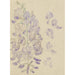 Reproduktion des Gemäldes Glycine - Carel Adolph Lion Cachet