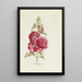 di Malva - Carington Bowles — quadro incorniciato alla parete