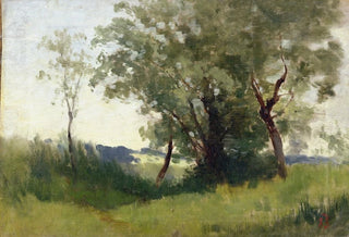 Carl Bolze - Hochmoor.webp