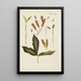 Illustration of wild trees, perennial plants, and shrubs Pl051 - Carl Christoph Oelhafen von Schöllenbach — framed artwork on a wall