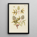 Illustration of wild trees, perennial plants, and shrubs Pl120 - Carl Christoph Oelhafen von Schöllenbach — framed artwork on a wall