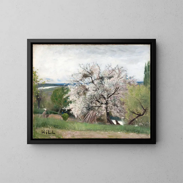 Obstbaum in Blüte - Carl Fredrik Hill — gerahmtes Bild an der Wand