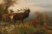 Troupeau de cerfs rouges - Carl Friedrich Deiker — Ansicht des Kunstwerks