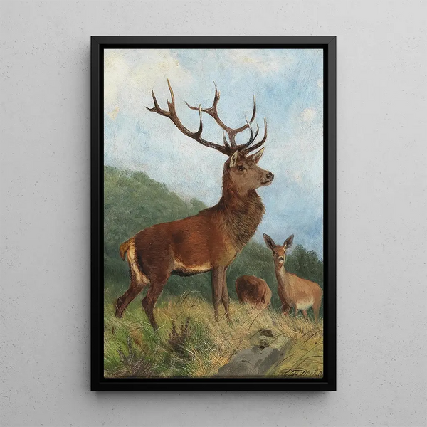 Hirsch dominierend - Carl Friedrich Deiker — gerahmtes Bild an der Wand