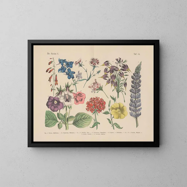 Manuel de botanique pratique en mots et en images Pl54 - Carl Hoffmann — gerahmtes Bild an der Wand