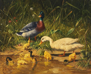 Carl Jutz - Enten mit Jungen am Wasser.webp