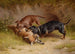 Gibier de chasse - Carl Reichert — vista dell’opera