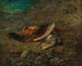 Stillleben mit Fasan und Birkhuhn - Carl Spitzweg — Ansicht des Kunstwerks