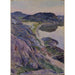 La strada di Bgevik - Carl Wilhelmson — vista dell’opera