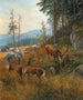 Au pack - Carl Zimmermann — vista dell’opera