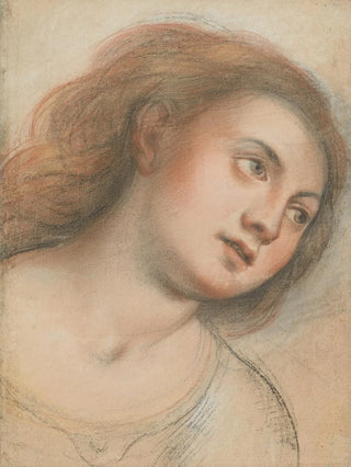 Carlo Francesco Nuvolone - Study for Female Head.webp
