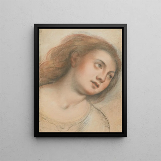 Carlo Francesco Nuvolone - Study for Female Head.webp