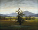 Village landscape painting in the morning light, The solitary tree - Caspar David Friedrich — artwork view