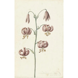 Catharina Lintheimer - Takje met roodbruine lelies.webp