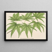 Acer palmatum reticulatum - Charles Antoine Lemaire — gerahmtes Bild an der Wand