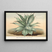Agave Verschaffelti - Charles Antoine Lemaire — gerahmtes Bild an der Wand