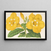 Allamanda Hendersoni - Charles Antoine Lemaire — gerahmtes Bild an der Wand