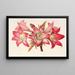 Amaryllis Belladonna - Charles Antoine Lemaire — gerahmtes Bild an der Wand