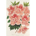 Azalea indica - Charles Antoine Lemaire — Ansicht des Kunstwerks