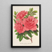 Azalea indica hybrida William Bull - Charles Antoine Lemaire — gerahmtes Bild an der Wand