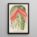 Reproduktion des Gemäldes Billbergia Baraquiniana - Charles Antoine Lemaire