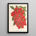 Bougainvillea spectabilis - Charles Antoine Lemaire — quadro incorniciato alla parete