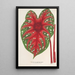 Reproduktion des Gemäldes Caladium Duc Adolphe de Nassau - Charles Antoine Lemaire