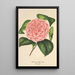 Camellia Elvina Delli - Charles Antoine Lemaire — quadro incorniciato alla parete