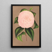 Reproduktion des Gemäldes Camellia Mistress Dombrain - Charles Antoine Lemaire