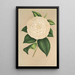 Camellia Sangalli - Charles Antoine Lemaire — quadro incorniciato alla parete