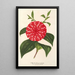 Reproduktion des Gemäldes Camellia Stella Polare - Charles Antoine Lemaire