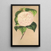 Camellia Vesillo dell'Arno - Charles Antoine Lemaire — gerahmtes Bild an der Wand